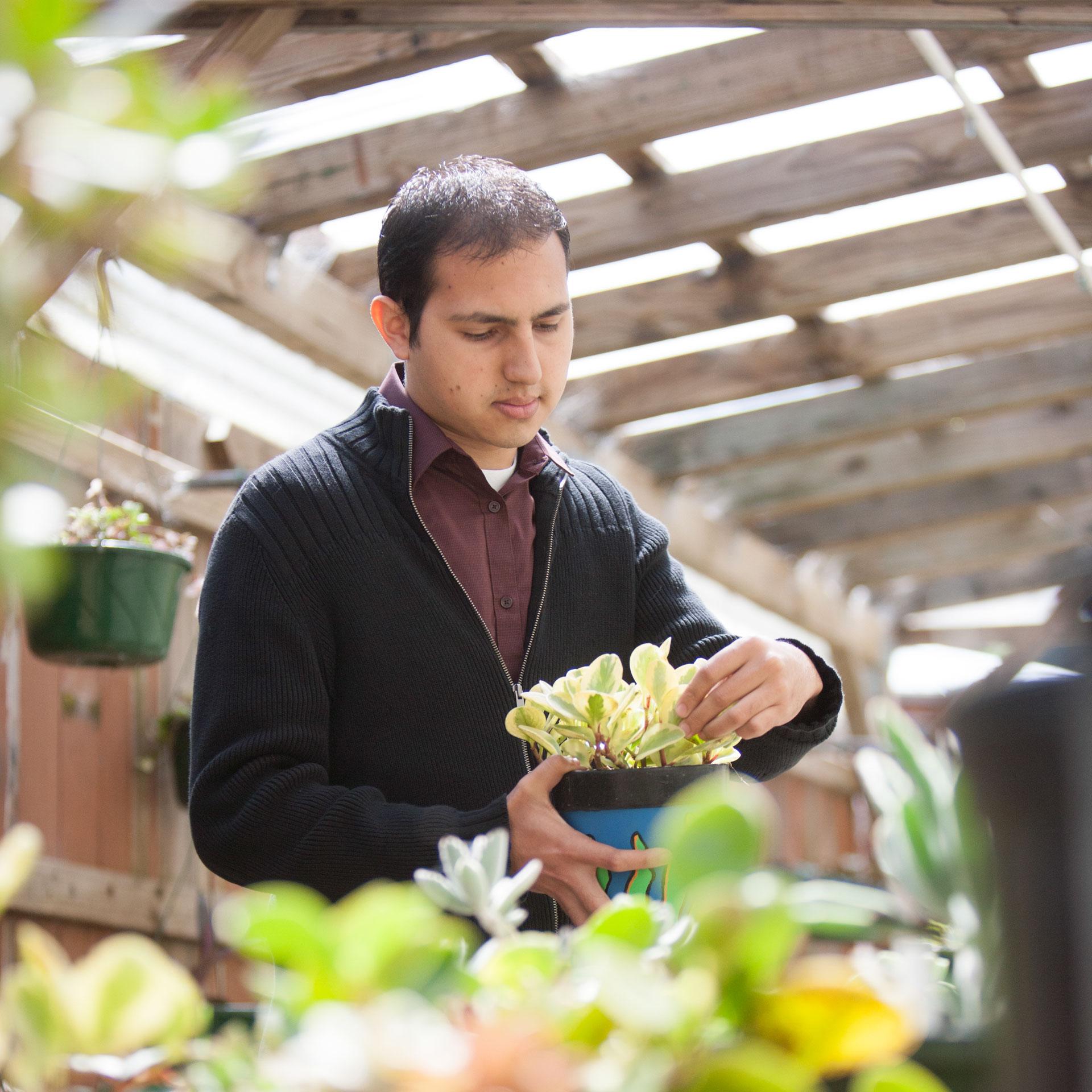 Student in the CR greenhouse